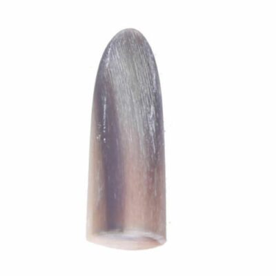 Plectre Mezrab pour Tar Persan Modèle Corne (x2)