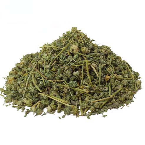 Herbe de Bindii séchée (Tribulus terrestris) - 600g - Herbe énergétique et de vitalité premium