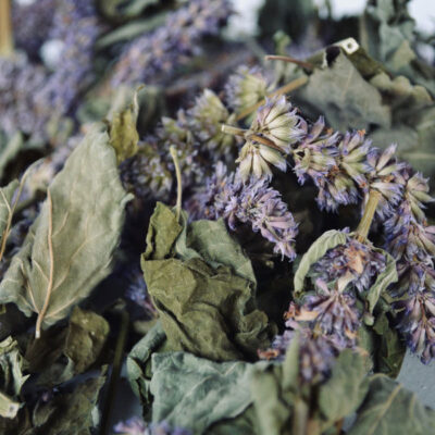 Herbe d’hysope séchée (Hyssopus officinalis) – 700g – Herbe aromatique premium