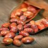 Oléastres Séchés (Fruits de l'Olivier de Russie) - 2500 grammes