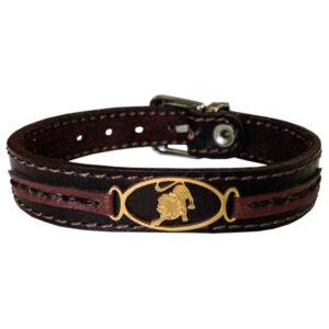 Bracelet en cuir persan pour hommes et femmes – Symbole Mordad