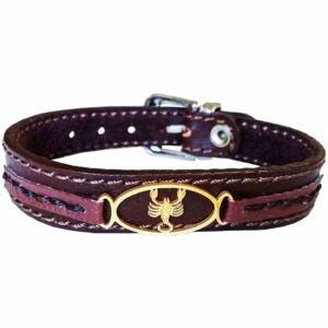Bracelet en cuir persan pour hommes et femmes – Symbole Aban