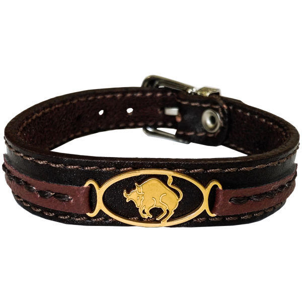 Bracelet en cuir persan pour hommes et femmes - Symbole Ordibehsht