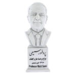 Buste de Majid Samii – Neurochirurgien iranien