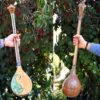 Instrument à cordes Setâr persan - Fabriqué à la main par Iransaz, Modèle Yas