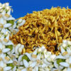Pétales de fleur d'oranger séchées 700 grammes
