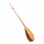Instrument Persan Dutar par le Maître Hassani, Professionnel