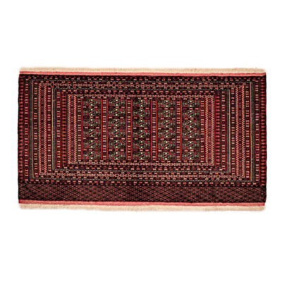 Tapis Persan Fait Main Tribal Intriqué en Laine Inour