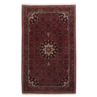 Tapis Persan en Laine Fait Main avec Design Médaillon Sahand