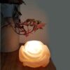 Lampe de fleur de sel persane – design pierre naturelle fait main