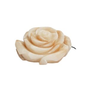 Lampe de fleur de sel persane – design Rose fait main