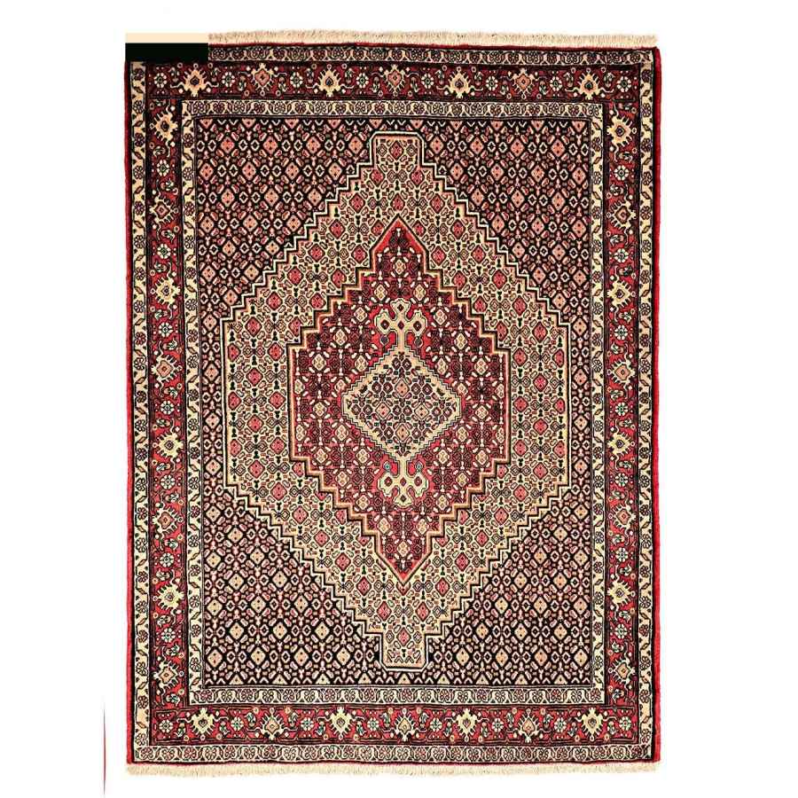 Tapis Persan Fait Main Médaillon Intriqué en Laine Toranj Mahi