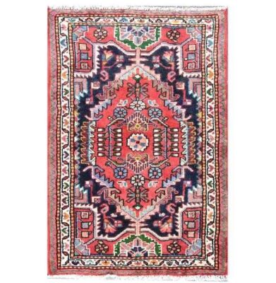Tapis persan en laine noué à la main Médaillon Jardin