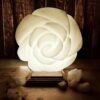 Lampe de sel persane fleurie – design artisanal avec base en bois