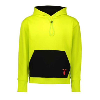 Sweat à capuche en coton pour femme Modèle 78957