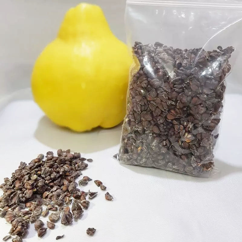Graines de coing Beedana séchées - 300g