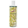 Parjak Shampooing à l'Olive pour Tous Types de Cheveux - Hydratant & Nourrissant (Pack de 4)