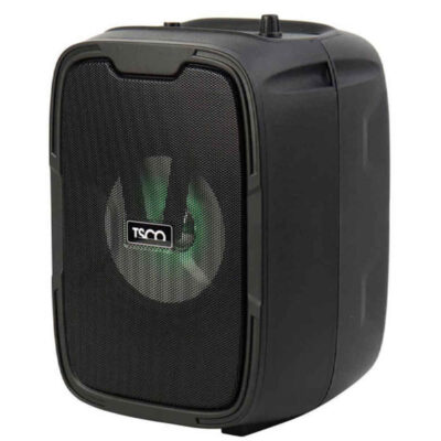 Haut-parleur Bluetooth sans fil et portable Tesco TS2311