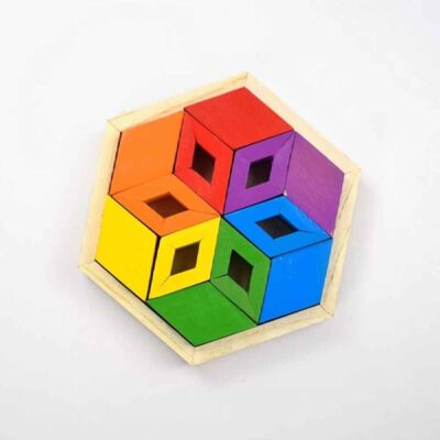 Puzzle Cerveau en Bois Géométrique – Jouet éducatif amusant