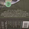 Dolmeh – Feuilles de vigne farcies persanes, en conserve (paquet de 5)