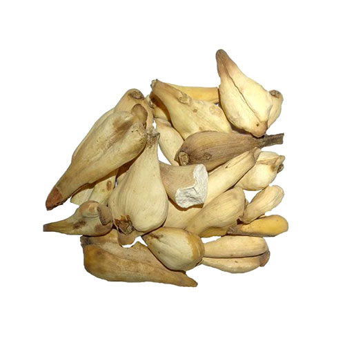 Colchicum sucré Suranjan séché - 100g Remède à base de plantes premium