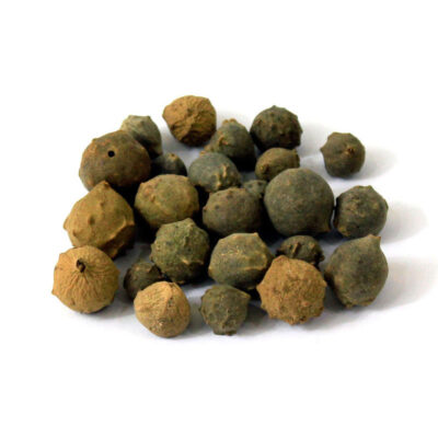 Galles de chêne d’Alep / Majuphal – 500g