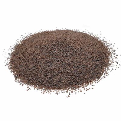 Graines de Plantago major séchées (Plantain) – 600g