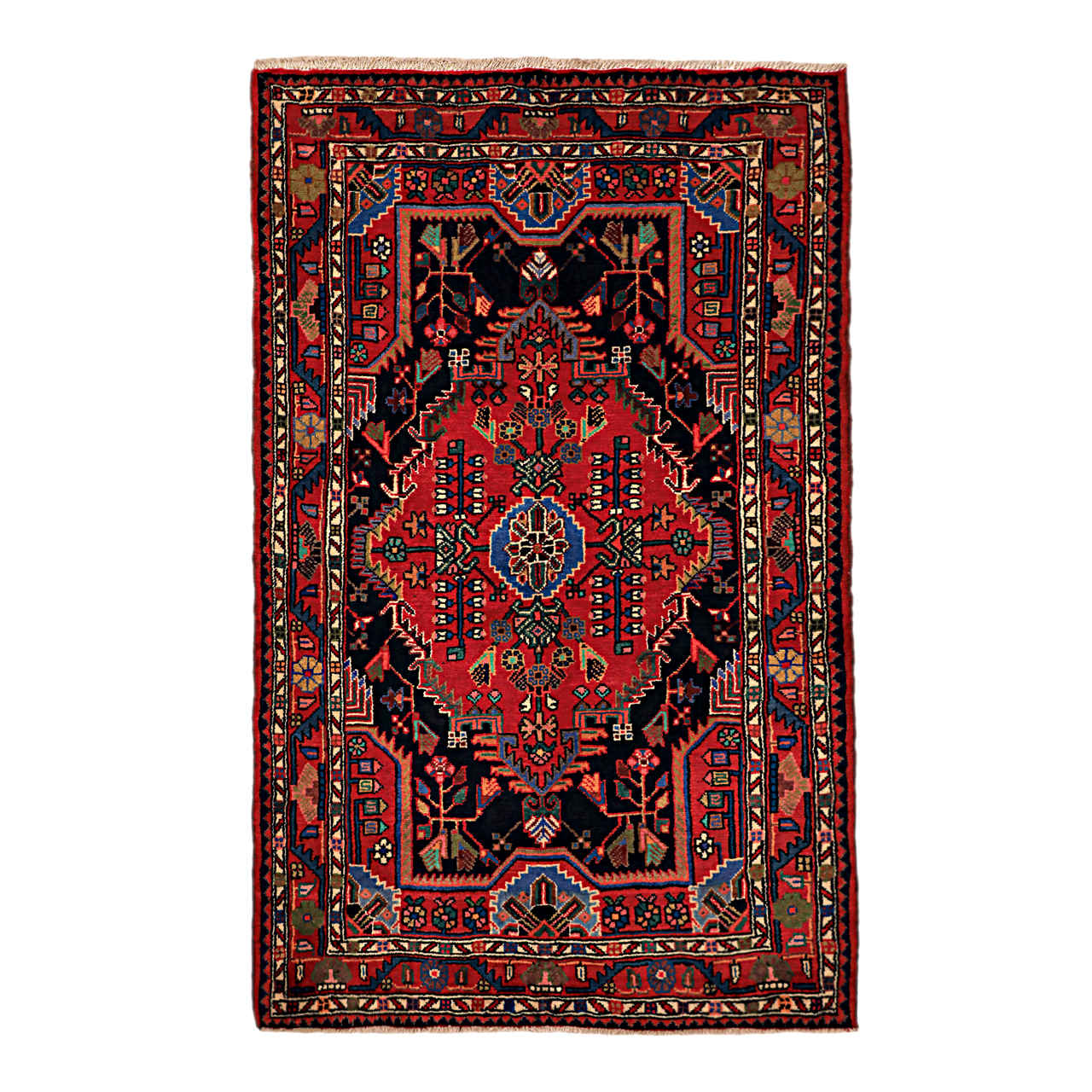 Tapis Persan Fait Main Médaillon Intriqué en Laine Jardin Noir