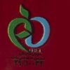 Biscuit Digestif Iranien Minoo Saghe Talai Sweetmeal, 200 gr (x4)