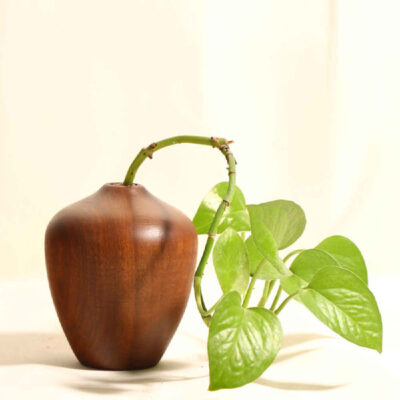 Vases décoratifs en bois faits main, en bois massif naturel, style minimaliste Tania.