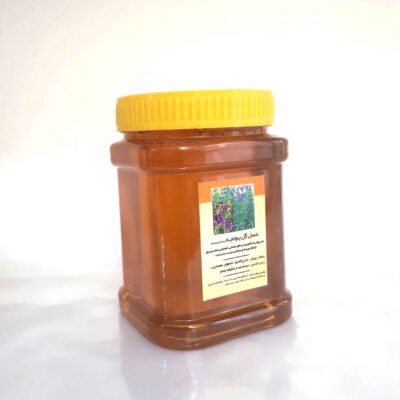 Miel de Luzerne Iranian – Pure Douceur de Prairie (1000 gr)
