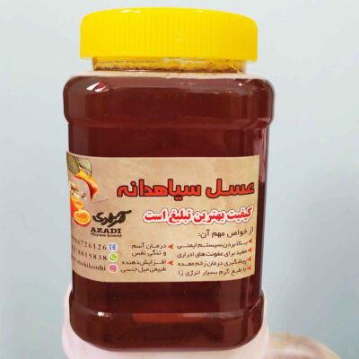 Miel de Graines Noires Iranian – Saveur Botanique Riche des Prairies (1000 gr)