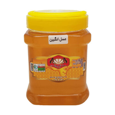 Miel de Tamaris Iranian – Douceur Botanique Naturelle (1000 gr)
