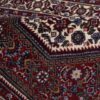 Tapis persan noué à la main chef-d'œuvre Zanjan en coton et laine Sara