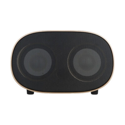 Haut-parleur Bluetooth sans fil et portable Tesco TS23300