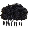 Snack de graines de tournesol Jumbo Khoy Shamshiri - 1000 g