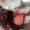Western Real Leather Saddle bag for Horse - Handcrafted