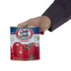 Pâte de tomate en conserve Chin Chin – 800 g (2x)