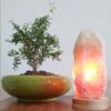 Lampe de sel persane lumineuse – faite main avec base en bois & design roche