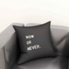 Housse de coussin en velours double face - Design citation motivante (Set de 2)