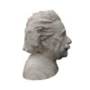 Statue de buste d'Albert Einstein - Pièce d'art scientifique célèbre
