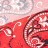 Châle Traditionnel pour Femme à Motif Cachemire
