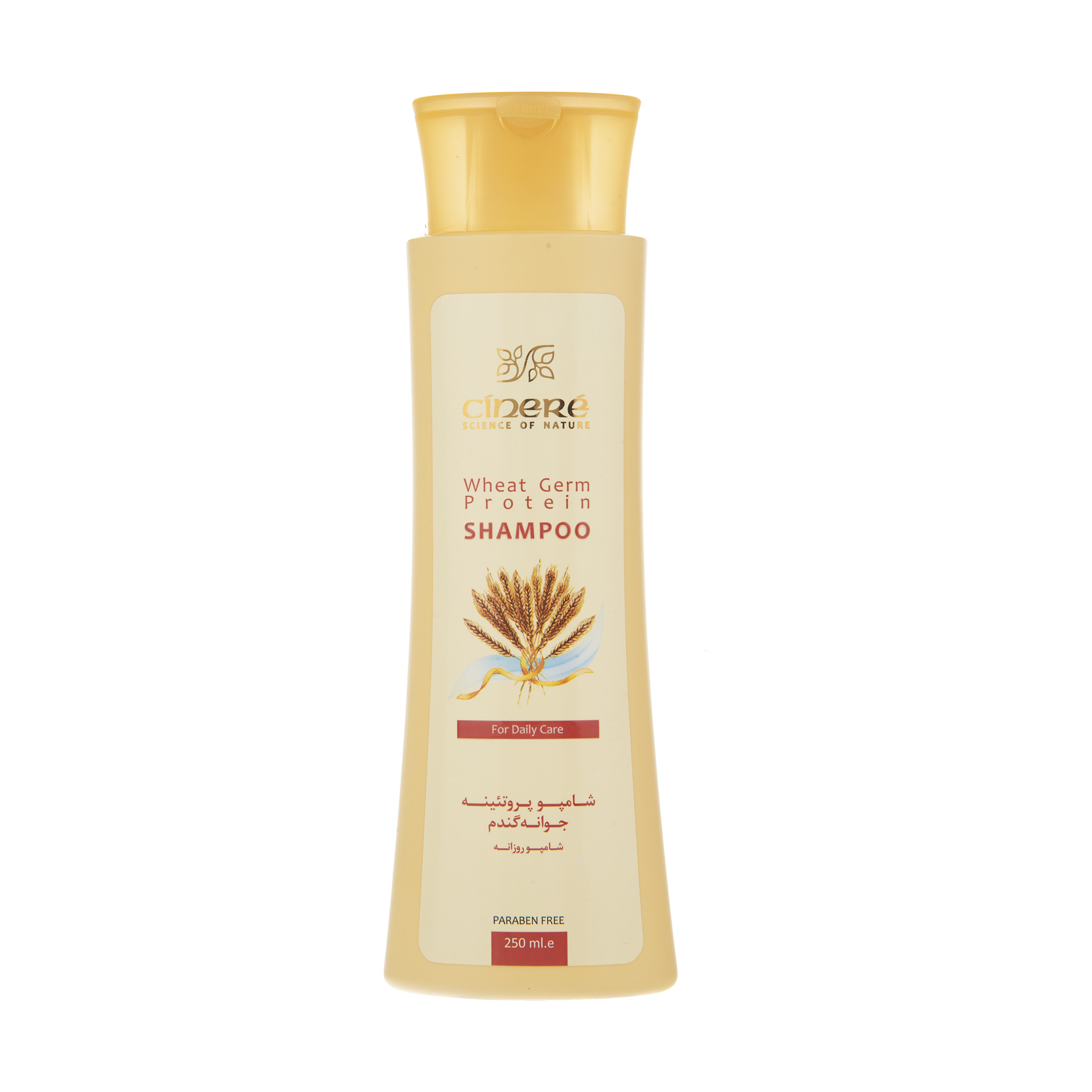 Cinere Shampooing au Germe de Blé pour Tous Types de Cheveux - Hydratation Quotidienne & Résistance (x4)