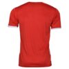Maillot de Foot de Fan Persepolis FC