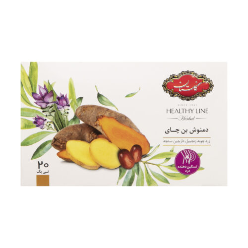 Golestan Mélange de Thé Herbal Bone Chai Pack de 20 (X6)