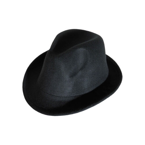 Chapeau Unisexe Noir – Accessoire Élégant et Polyvalent