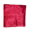 Housse de coussin en velours unilatérale - Design Vase à fleurs (Set de 2)
