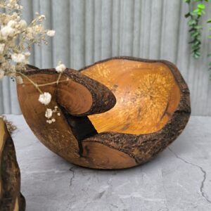 Bol décoratif en bois de frêne naturel en bois de aulne