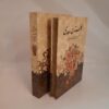 The Gulistan: Saadi’s Classic of Persian Literature