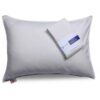 Taie d'oreiller antibactérienne, chic et confortable
